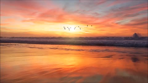 Heavenly Beautiful Relaxing Music 🎻Sleep