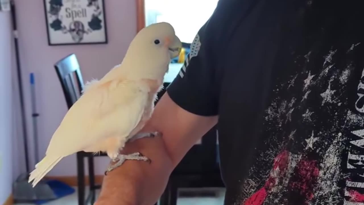 I Am His Person