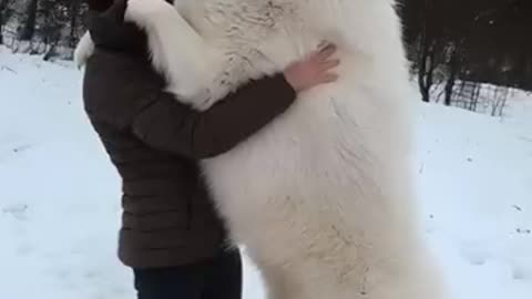 Ice Age Predators FROZEN Alive