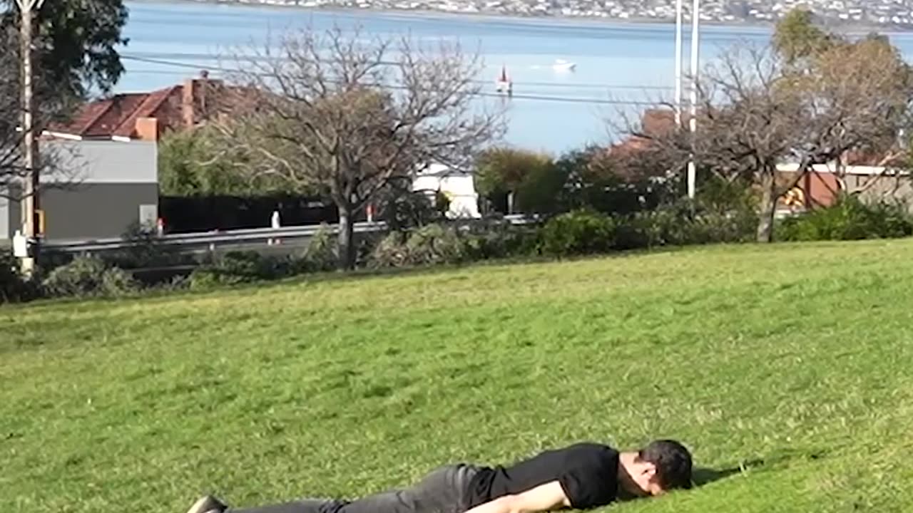 How Animals Get Over a Fence😂(with emojis)