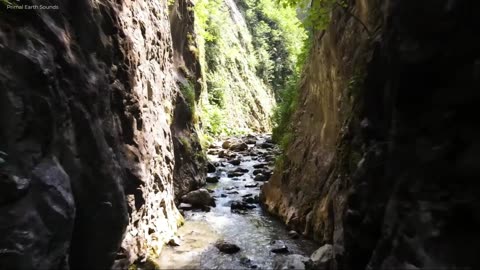 6 Hours of Breathtaking 4K Nature Views with Relaxing Music