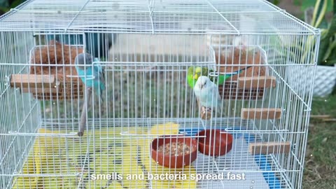 Healthy-Air Purifier with No-Byproduct Sterilization by LumiPure