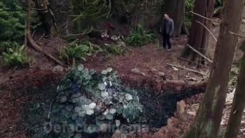 Movie clip Febric2