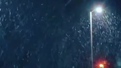 Snow in Pensacola, Florida January 18, 2026