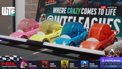 WTF LIVE RACING