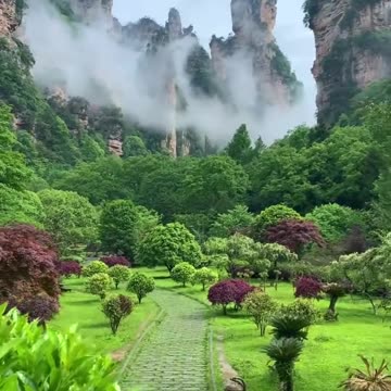 Discover Zhangjiajie: China’s Real - Life Avatar Paradise