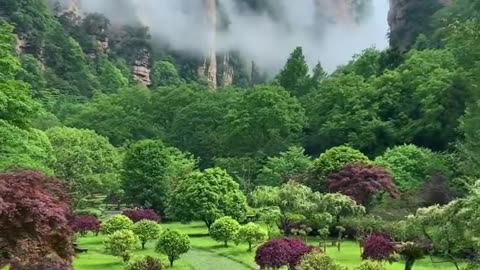 Discover Zhangjiajie: China’s Real - Life Avatar Paradise