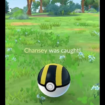 Pokémon GO-Shiny Chansey