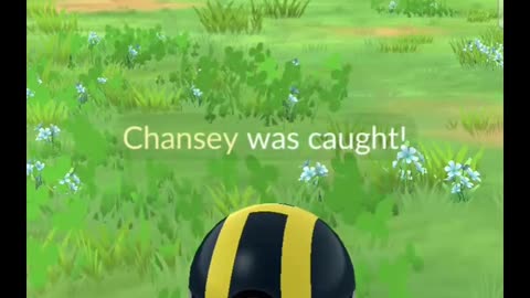 Pokémon GO-Shiny Chansey