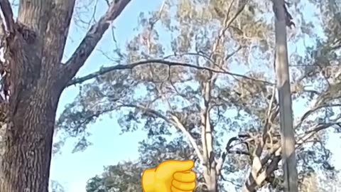 Cancer Reveal Shocks Cops: StyloIRL's Empathetic Reaction