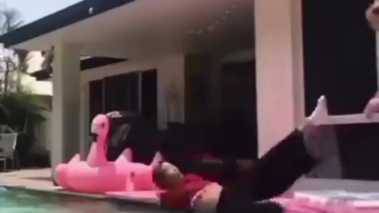 Best Funny (Follow My Channel)
