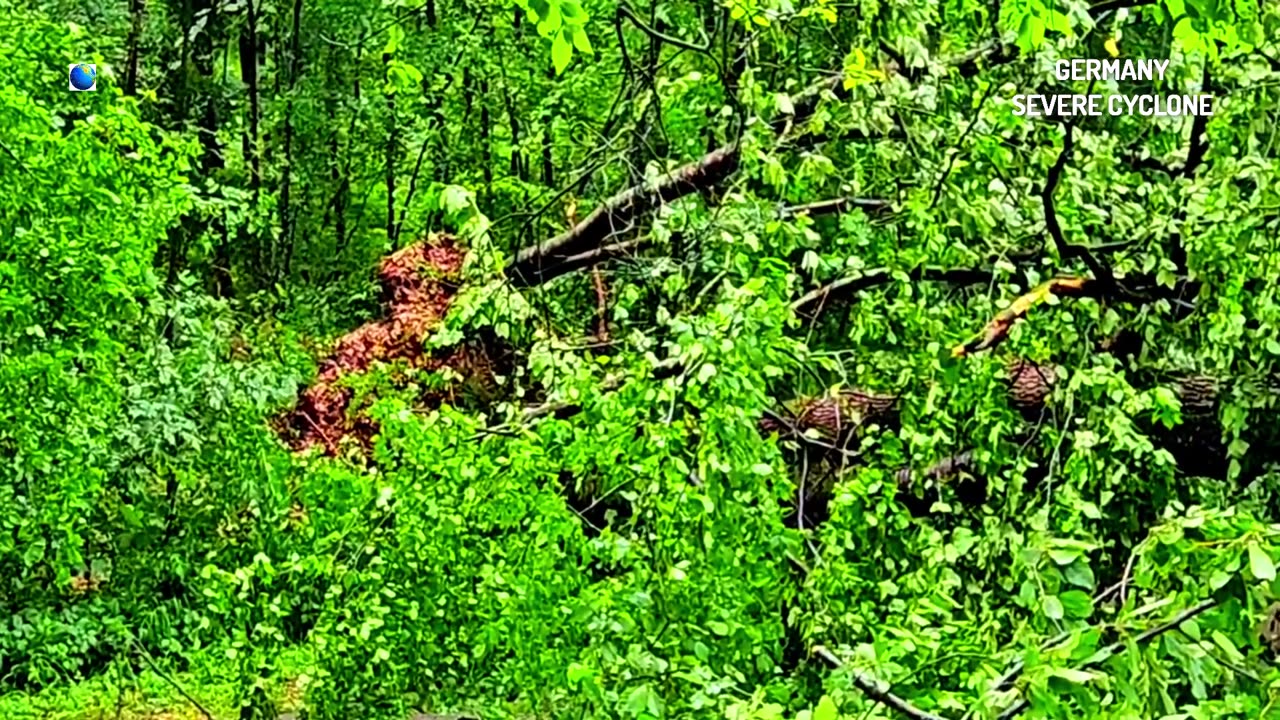 Une violente tempête frappe l'Allemagne : Berlin est gravement endommagée