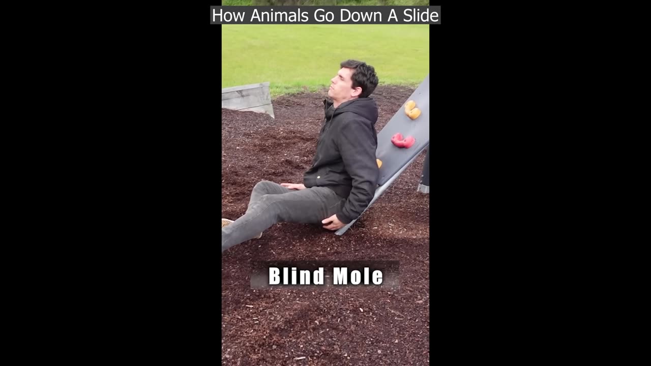 Best Of Funny Videos #2025