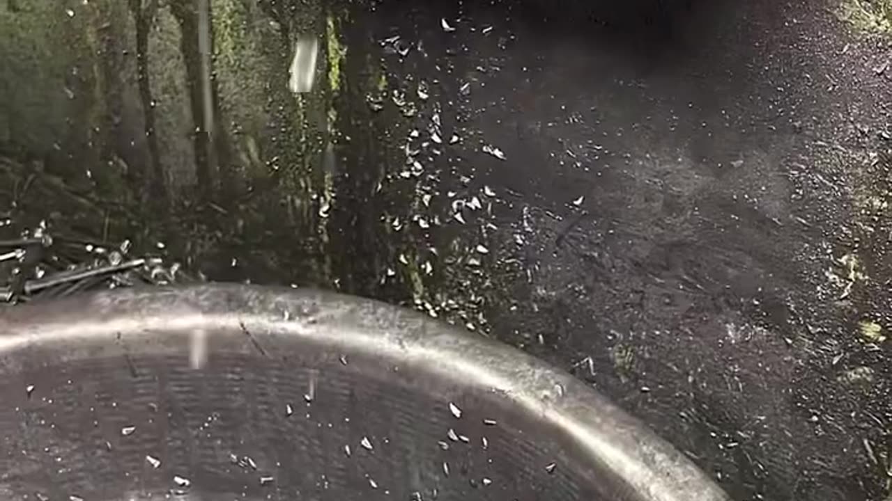 Industrial video...
