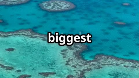 Quick Facts About Australia You Didn't Know!