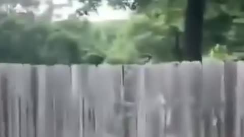 Fetch