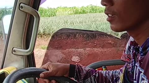 Belajar nyetir mobil