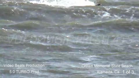 Wind Surfing Alameda, Ca.