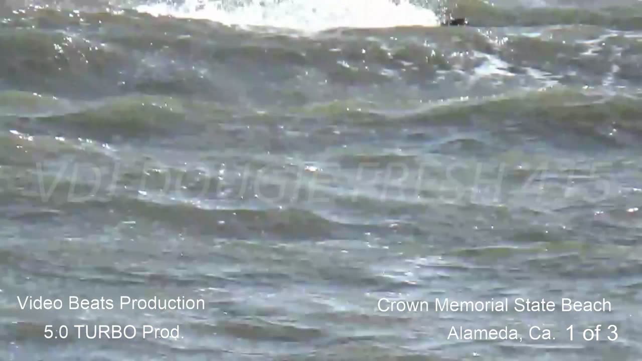 Wind Surfing Alameda, Ca.