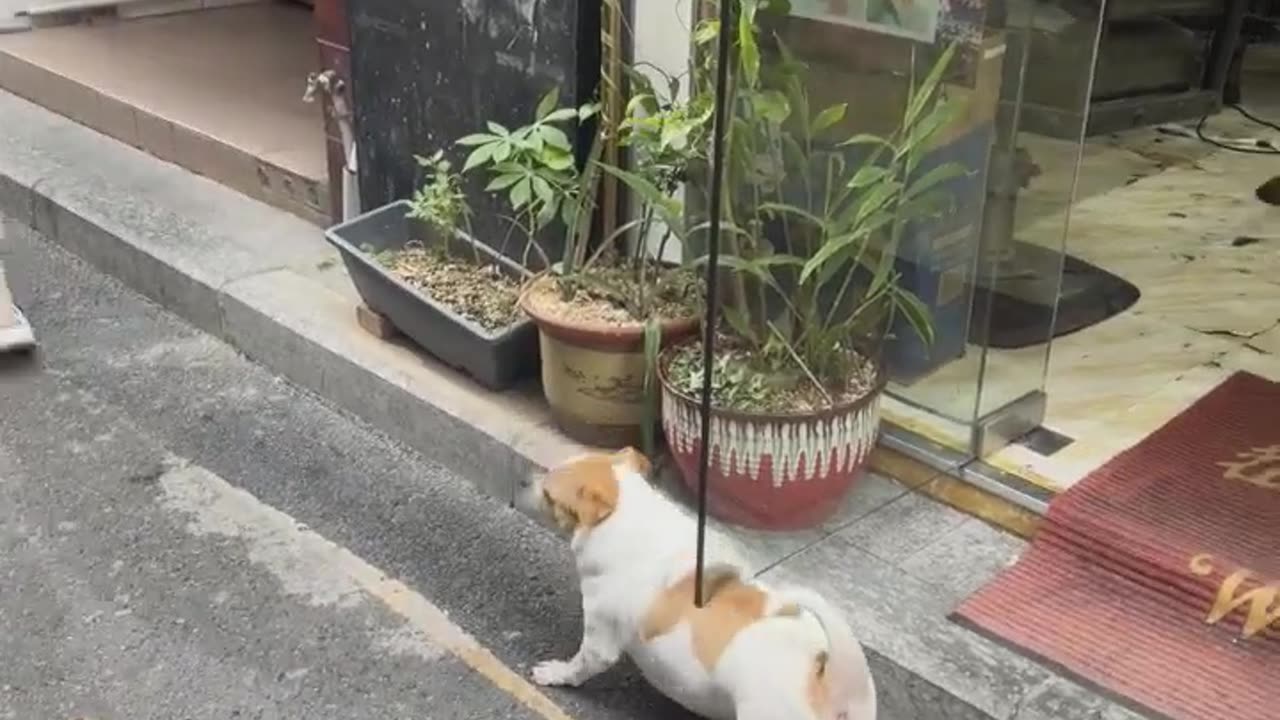 What are you looking at me for