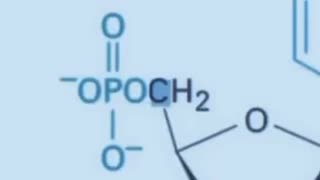 Why Fathers Are Needed