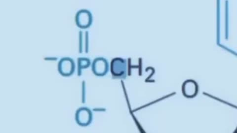 Why Fathers Are Needed