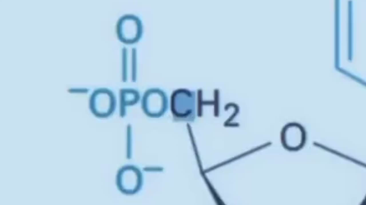 Why Fathers Are Needed