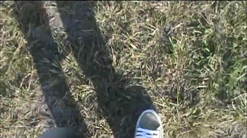 Walking in No Name Sneakers