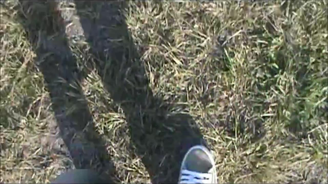 Walking in No Name Sneakers