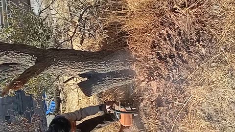 یک روز کاری من