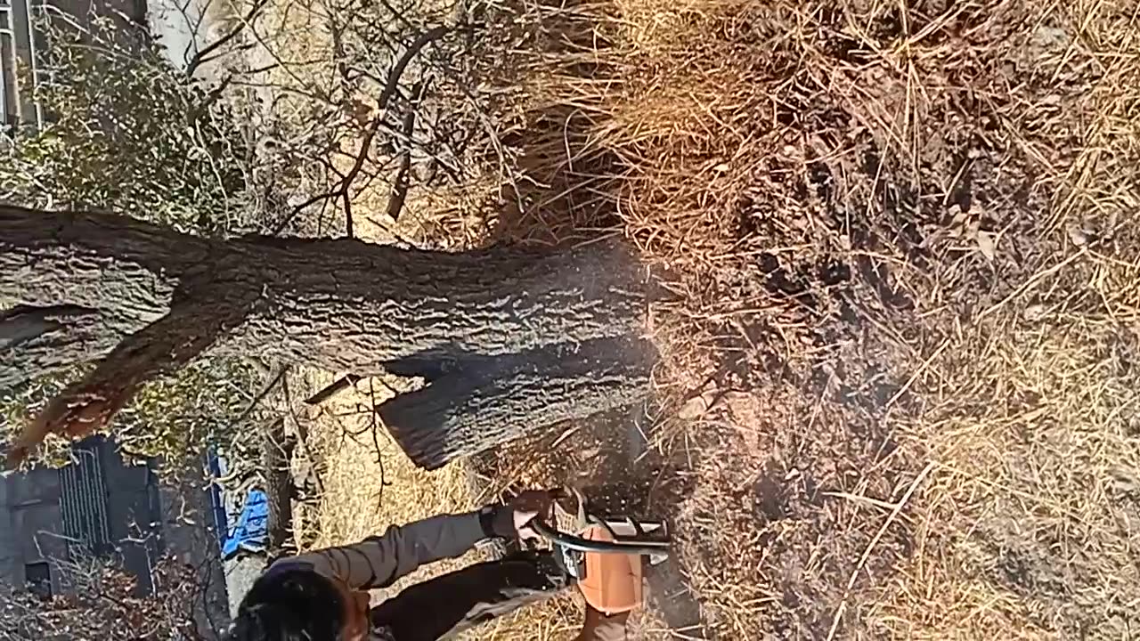 یک روز کاری من