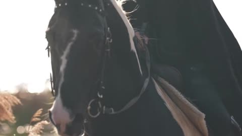 Amazing Girl With Her Beautiful Horse