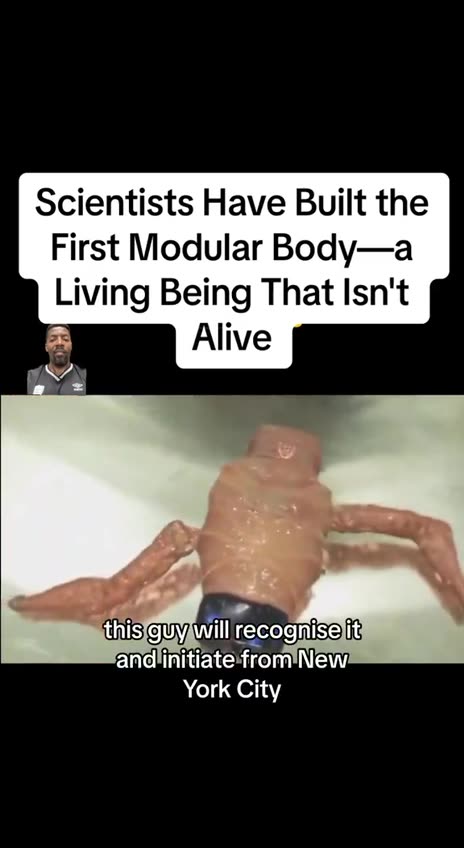 Scientists Have Built the First Modular Body—a Living Being That Isn't Alive
