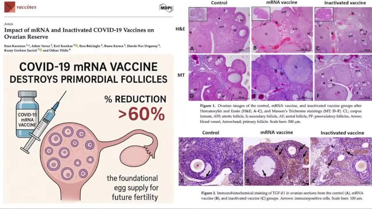 11/5/2025 KHI BẦY MÃNH SƯ TRỞ LẠI