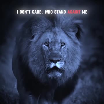 Lion Attitude video #shortsfeed #trending #viral