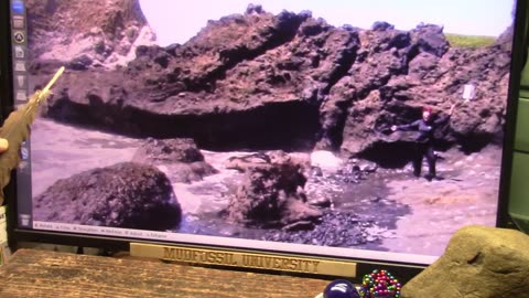 SURE LOOKS LIKE A DRAGON