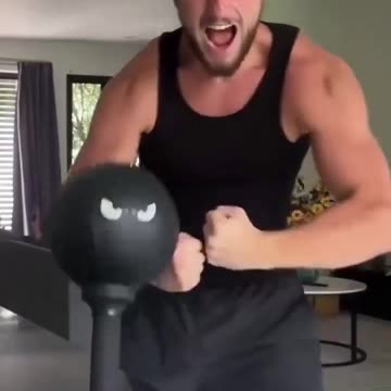 Stress Buster Punching Bag