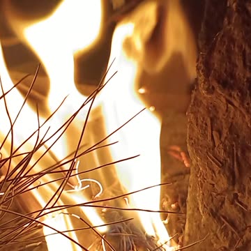 Flames of Fire in the Darkness of Night