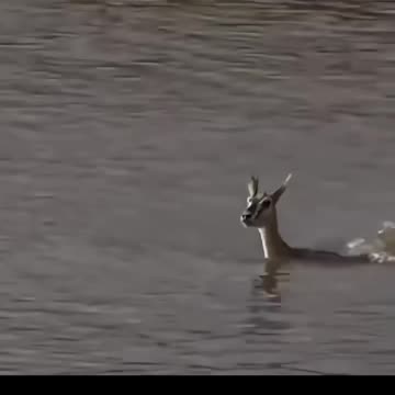 💔 "She Sacrifices Silently, While the Child Never Realizes"