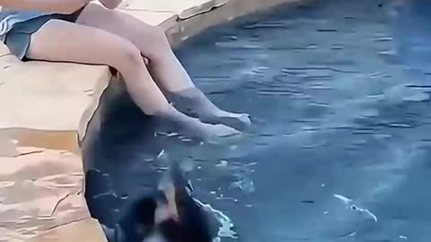 funny video,