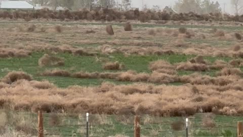 Tumbling Weeds Cross Ranch Land