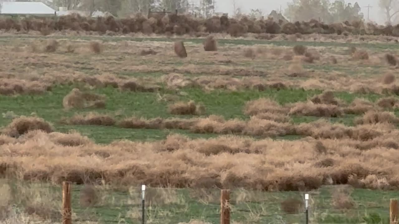 Tumbling Weeds Cross Ranch Land