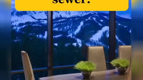 If you go with the flow, the only place it will lead is in the sewer. Business quotes.