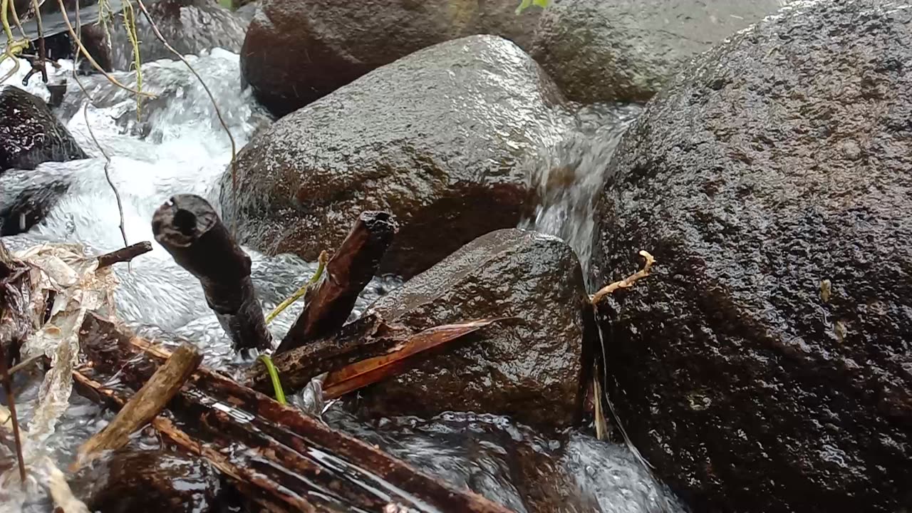 Clear Stream with Flowing Water
