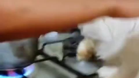 Learning About Fire