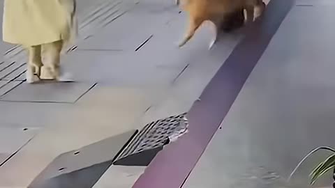 Feeling a little blah!!! Smile with this.