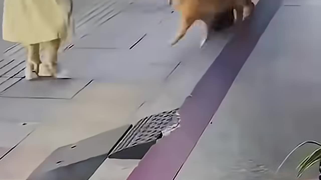 Feeling a little blah!!! Smile with this.