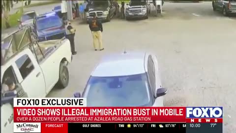 WATCH: The Gulf of America Homeland Security Task Force arrests over a dozen illegals