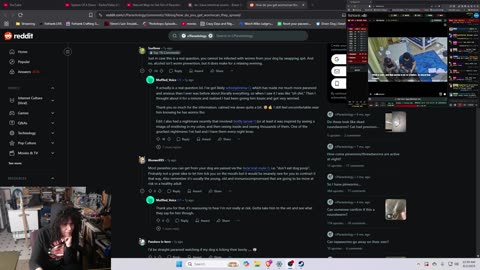 Vidyas'N'Chill