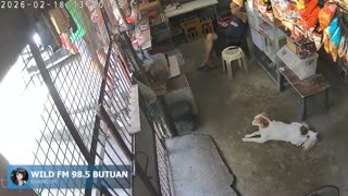 Lalaban Na Tayo mga Kababayan Lalaban Na Tayo